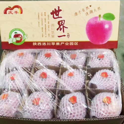 现货洛川苹果世界一纯甜无酸富士