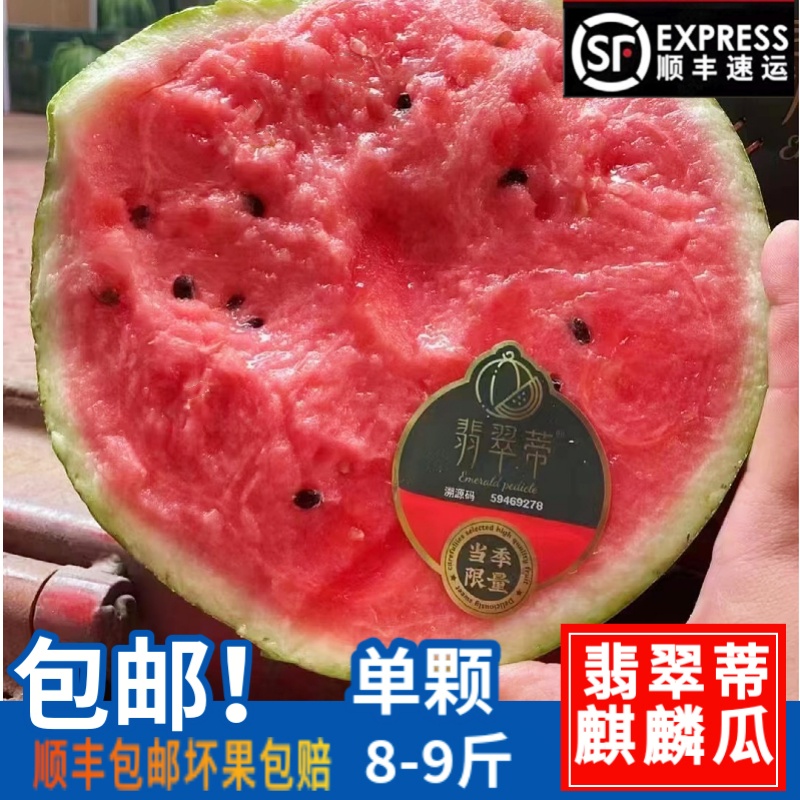 新鲜西瓜翡翠蒂无籽麒麟红壤西瓜1个装新鲜水果冰淇淋瓜顺丰包邮