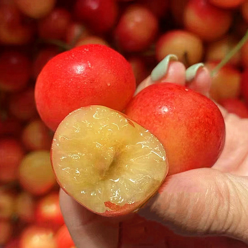 智利车厘子 黄金雷尼尔水晶三藩市黄车樱桃礼盒新鲜水果顺丰空运