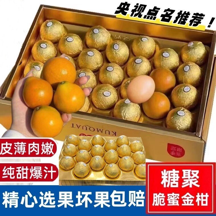 糖聚脆蜜金柑广西金桔巧克力版融安第三代金桔精品礼盒新鲜水果