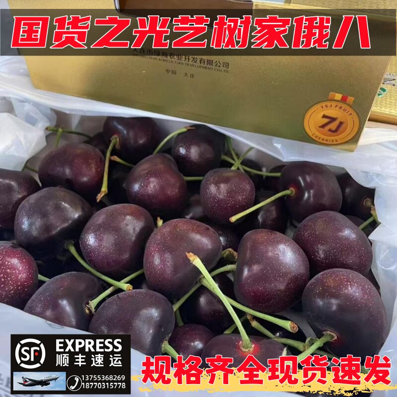 艺树家俄八2斤大连樱桃黑车新鲜水果俄罗斯八号大果顺丰空运包邮