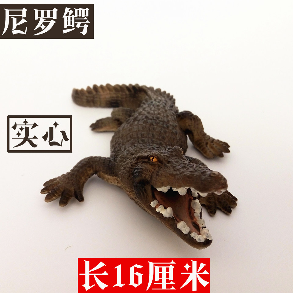 鳄鱼玩具仿真扬子鳄动物模型凯门鳄实心硬胶小尼罗鳄实心硬胶滞