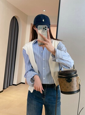 WTHEONE柜上2000+高级感天蓝色竖条纹纯棉翻领衬衫女上衣2026春夏