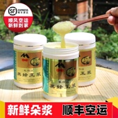 蜂王浆 农家自产野生天然蜂皇浆500g顺丰空运 东北黑蜂椴树王浆