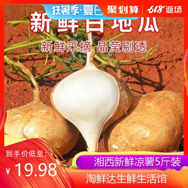慕尼热卖湘西应季新鲜凉薯白地瓜沙葛土瓜地萝卜农家特产洋薯红