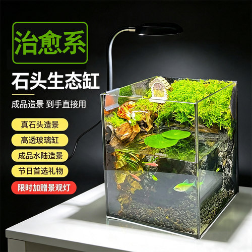 水陆雨林缸鲜活绿植可养鱼观景办公室客厅桌面装饰成品生态造景缸