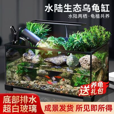 乌龟缸高清玻璃生态造景龟鱼缸一体混养生态缸客厅专用家用饲养缸