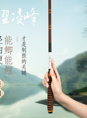 翌凌峰高碳19调鲫鱼竿超轻超细