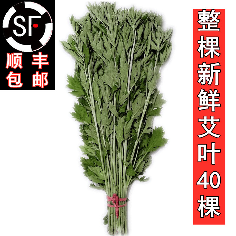 新鲜艾草整棵艾叶菖蒲清明节全株艾草叶长颗艾束端午挂门艾蒿香包