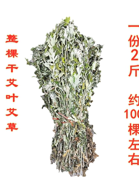 整棵野生端午晒干带杆祛湿艾草