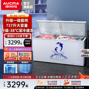 冷柜冷藏冷冻大空间 737TC商用大冰柜卧式 澳柯玛BC