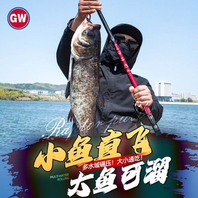 新品光威休闲钓竿超轻碳素湖库