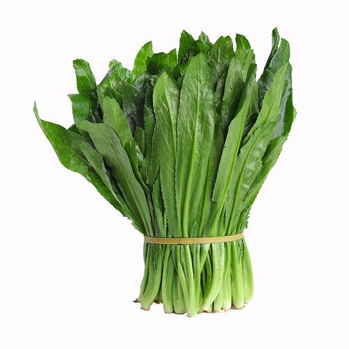 云南本地大香菜缅芫荽