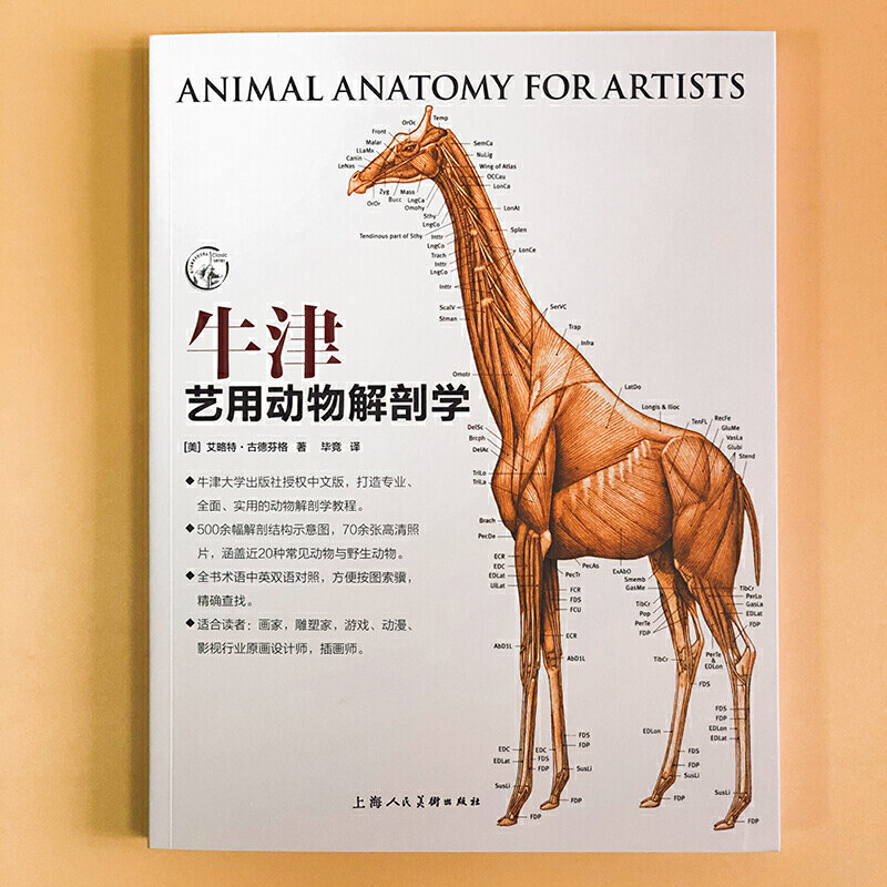 牛津艺用动物解剖学 中英对照版500余幅常见动物解剖结构示意图动物