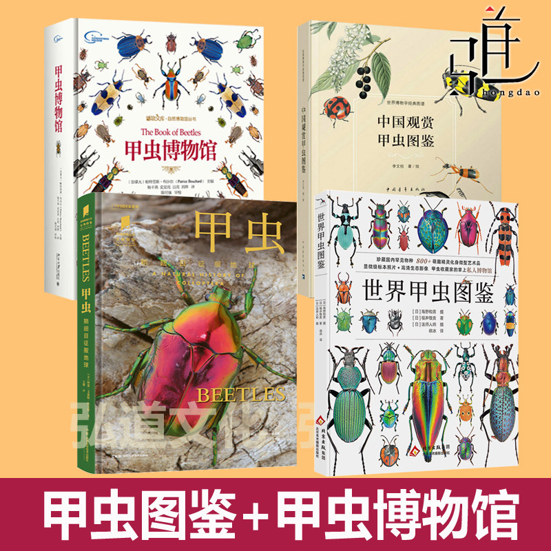 世界甲虫图鉴甲虫博物馆中国观赏甲虫图鉴普林斯顿大学生物图鉴昆虫家谱野外鉴别指南中国国家地理甲壳虫昆虫自然科普百科书识别