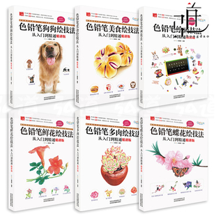 蝶花绘 彩色铅笔画教程书籍自学 色铅笔绘画技法从入门到精通 美食绘 多肉绘 狗狗绘 6册 精讲版 线稿绘制上色 鲜花绘 视频教学