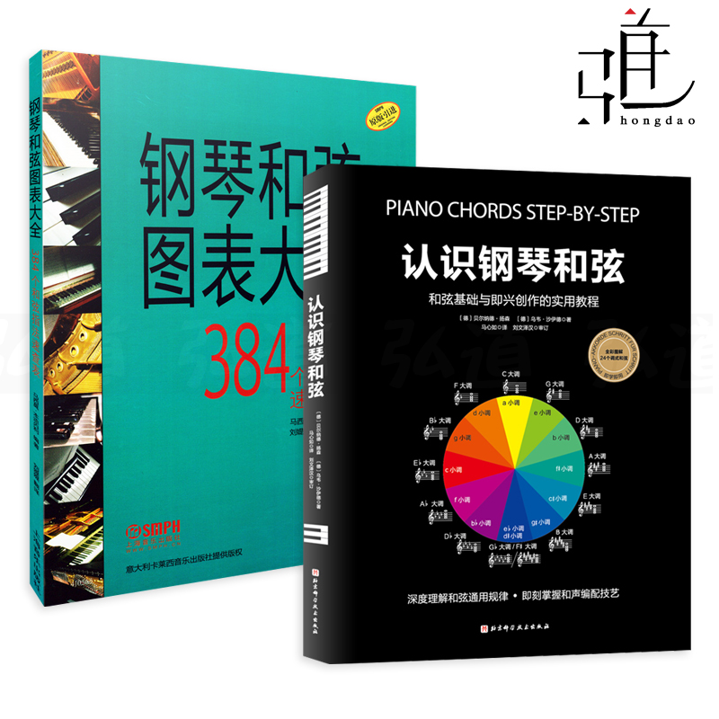 2册钢琴和弦图表大全认识384个