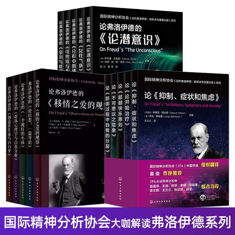 15册 国际精神分析协会大咖解读弗洛伊德系列 第一辑+二辑+三辑当代弗洛伊德 精神分析专业书籍IP 应用心理学原著解读情绪聚焦疗法