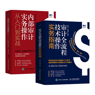 2册 审计全流程技术操作实务指南+内部审计实务操作从入门到实战财务审计报告财务会计财务报表教程书籍 审计师审计专业培训咨询yd