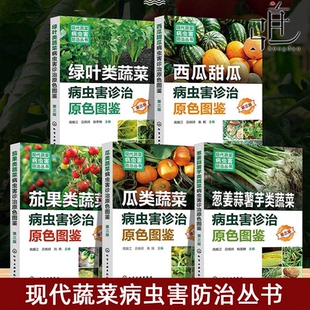 西瓜甜瓜 绿叶类蔬菜病虫害诊治原色图鉴 瓜类蔬菜 葱姜蒜薯芋类蔬菜 新型生物菌剂绿色防控 茄果类蔬菜 现代蔬菜病虫害防治丛书