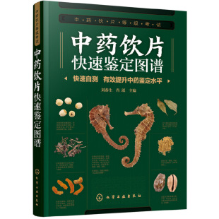 中药饮片等级考试配套辅导教材 肖瑶 500余幅高清精美彩图 中药饮片教程书籍 中医学教程 中药饮片快速鉴定图谱 中药书籍 刘春生