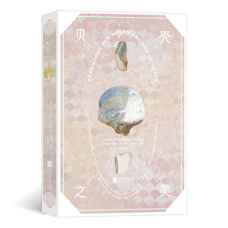贝壳之美 复古艺术馆 190幅18世纪的贝壳自然画作 写生版画图册 解读