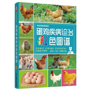 蛋鸡疾病诊治彩色图谱 蛋鸡养殖饲养技术大全书  散养土鸡管理书籍 蛋鸡饲料配制书 鸡病诊断治疗防治大全书 蛋鸡养殖技术教程书
