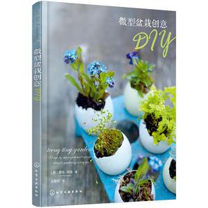 正版 微型盆栽创意DIY 微景观植物制作养护 花草苔藓盆景创意造型设计 多肉植物种植 家庭园艺花艺 盆景设计书籍 桌面迷你盆栽