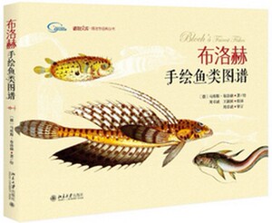 正版 布洛赫手绘鱼类图谱(精) 博物学经典丛书文库畅销书籍 (德)马库斯·布洛赫 常见海洋全彩色手绘图 自然生物科学 绘画美术艺术