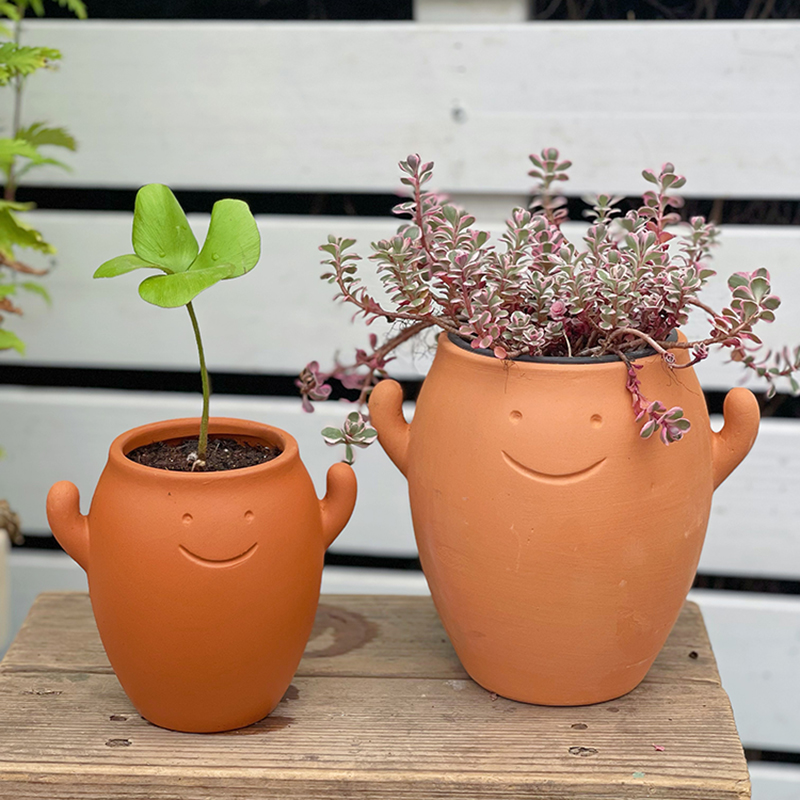 红陶可爱小花盆透气透水实用