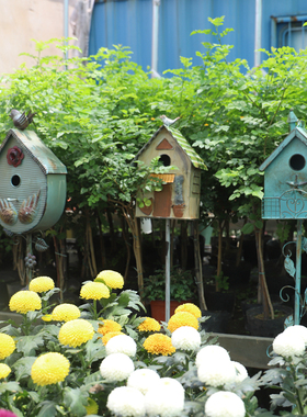 铁艺复古做旧大鸟屋花插 洒水壶园艺装饰品 爬藤架花园草坪装饰