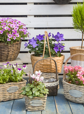 藤编花篮双耳元宝篮 纯手工欧式乡村花盆器 田园风组盆塑料内村