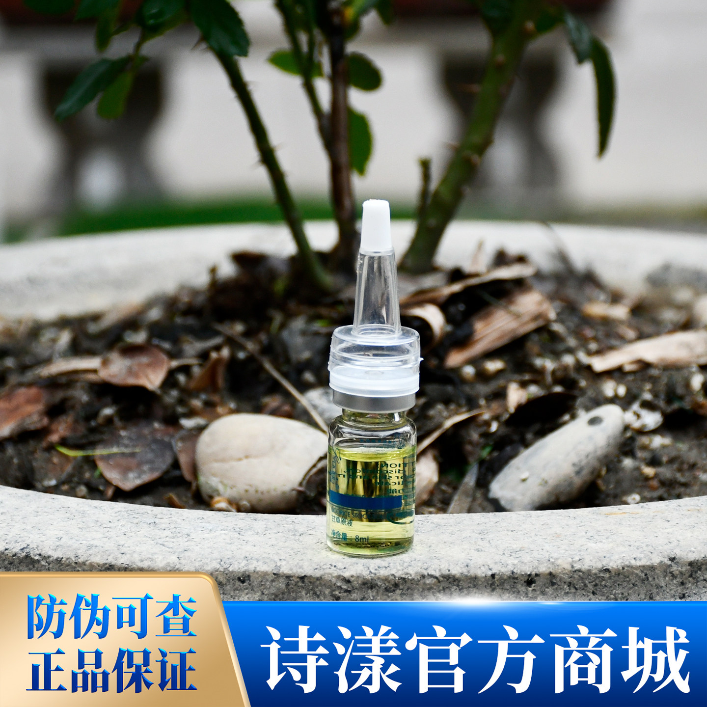 SYOUNG/诗漾甘草原液8ml×3支补水舒缓泛红改善保湿肌肤屏障平衡