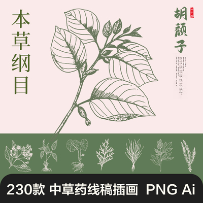 中草药草本植物线稿素描插画纹样国风装饰AI矢量PNG免扣图片素材