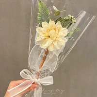 Желтый epiphyllum-bouquet bows