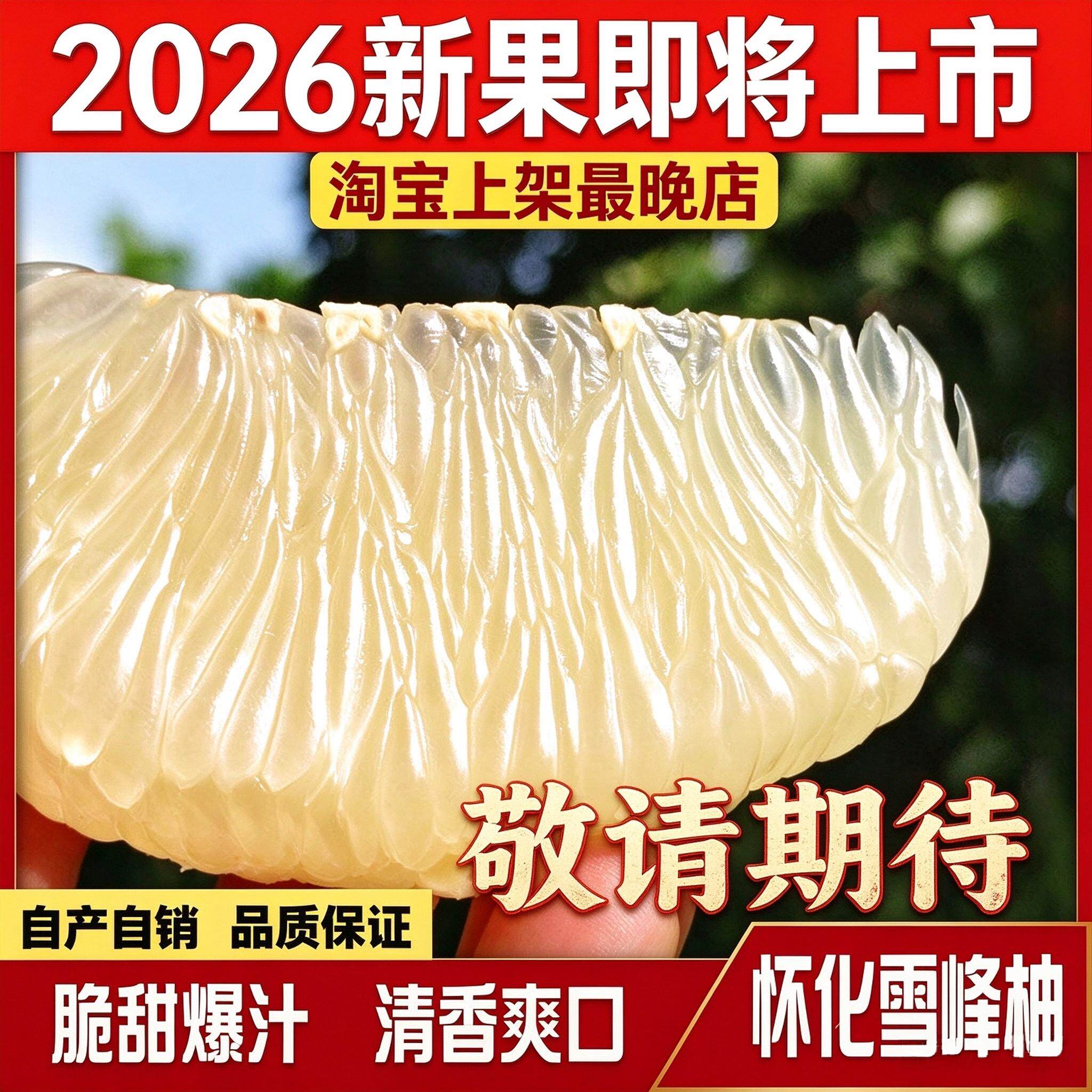 湖南怀化雪峰柚冰糖柚芷江麻麻柚香柚小苦柚脆甜爆汁孕妇当季水果