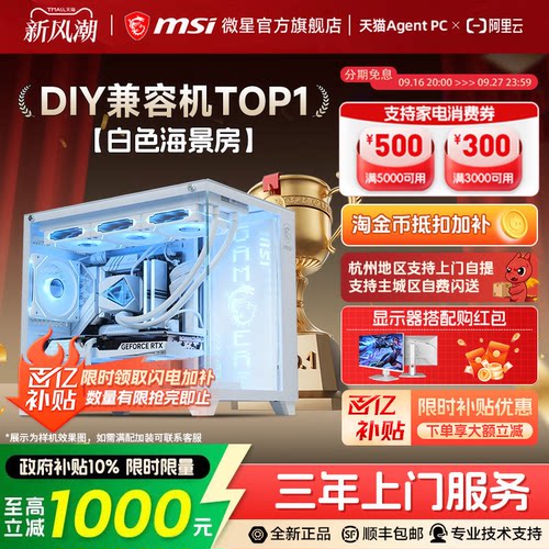 【国补10%】微星5060/Ti白海景房