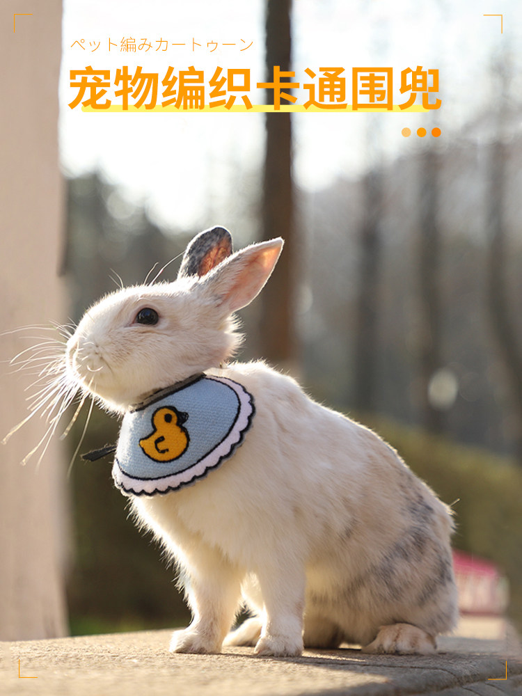 宠物兔小兔子衣服兔子荷兰猪垂耳兔侏儒兔可爱口水巾兔子用品