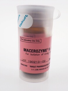 离析酶R-10 科研试剂 Yakult进口 高品质纤维素酶 CAS:9032-75-1