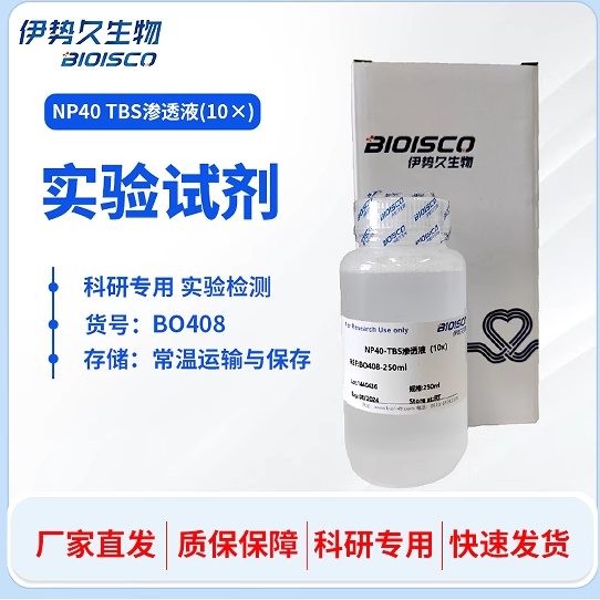 NP40 TBS渗透液（10×） 伊势久生物 BO408 科研专用 现配试剂