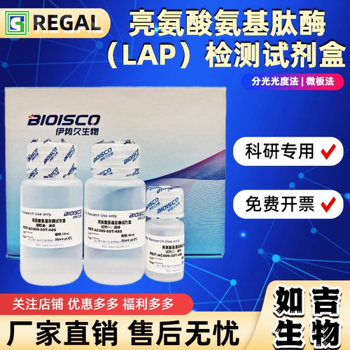 亮氨酸氨基肽酶(LAP)检测试剂盒 生化科研实验 高品质LAP测定溶液