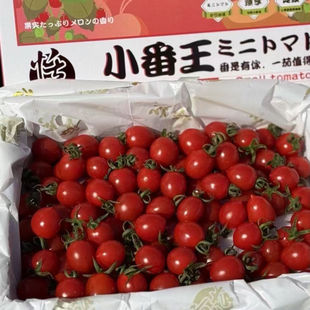 正宗小番王釜山88千禧小番茄原箱2.5斤礼盒圣女果新鲜西红柿