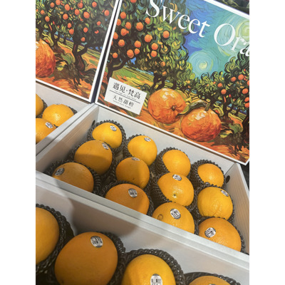 新奇士黑标3107脐橙大果sunkist