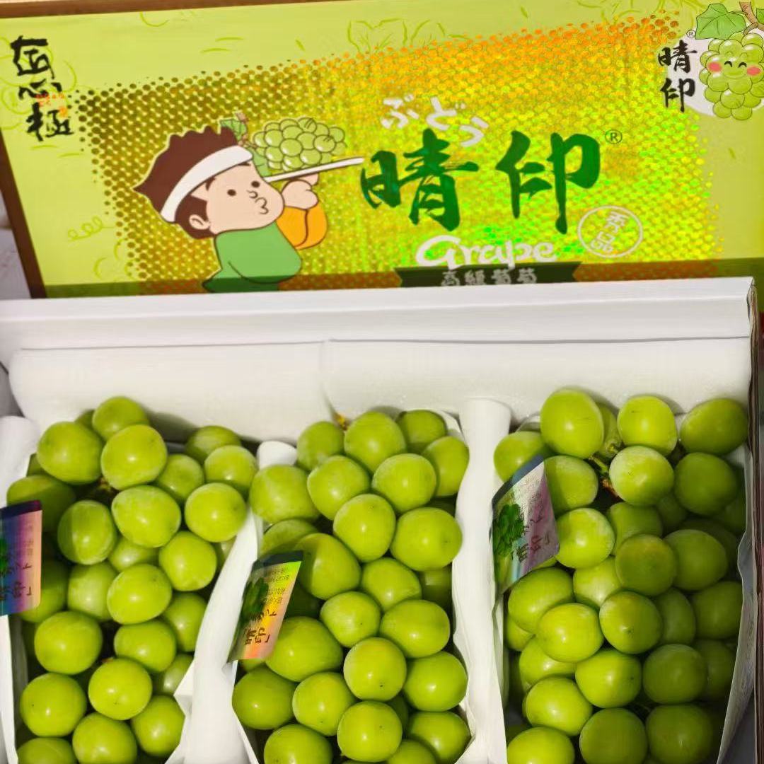 匠心极晴王葡萄香印青提引进日本品种阳光玫瑰葡萄3串礼盒装顺丰