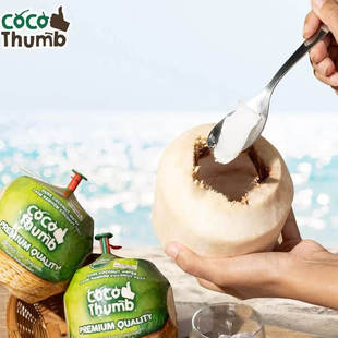 泰国KFRESH网红易开宝椰青6个CoCo椰香水地雷椰子易开椰顺丰包邮