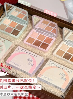 柳丝木星纱六色眼影哑光珠光细闪眼影盘日常百搭美妆女