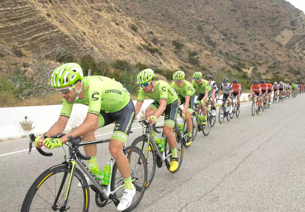 Tenue de cyclisme mixte - Ref 2208289 Image 3