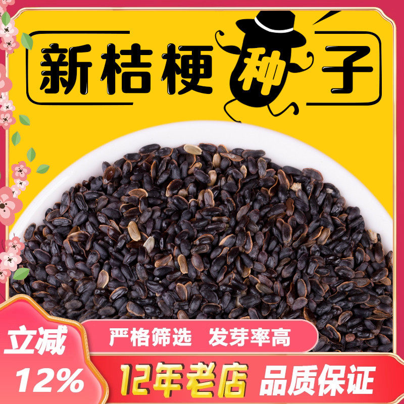 出售新药材桔梗种子散装食用狗宝咸菜种籽包发芽四季播种阳台盆栽