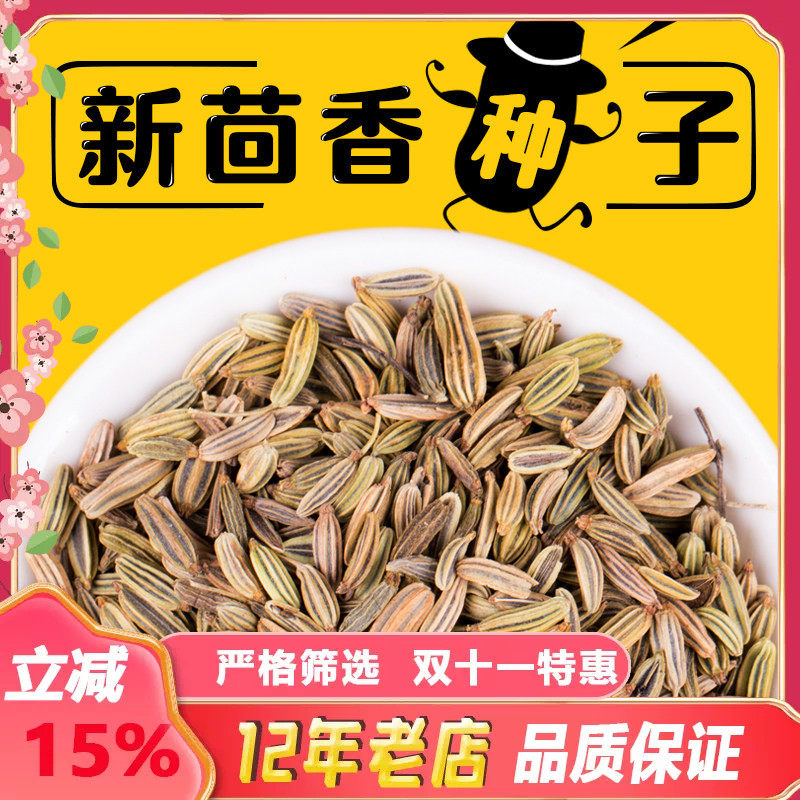 非割茬茴香种子春季秋季小茴香籽四季易种有机蔬菜种子包邮