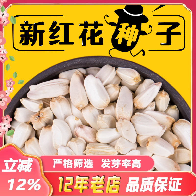 药材红花种子2024年新产草红花籽云南无刺红花种籽四季播种包邮